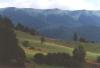 nizketatry108